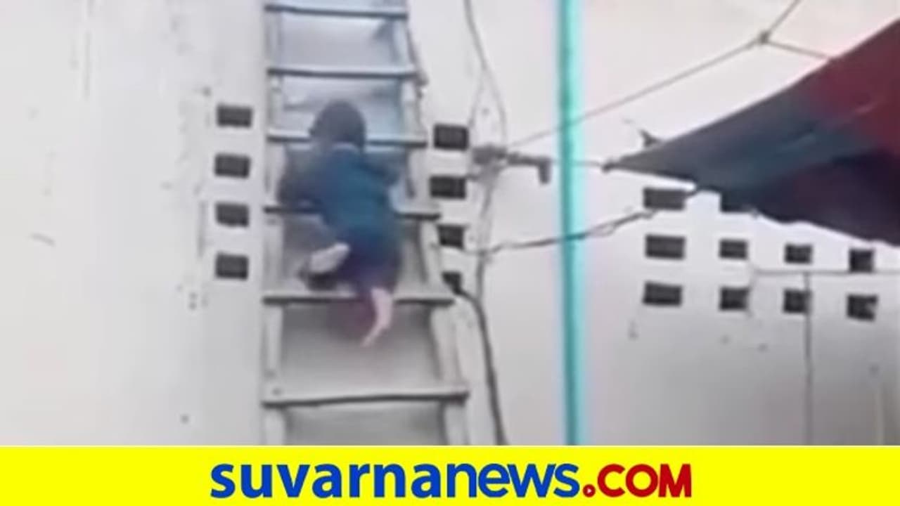 ಪುಟ್ಟ ಬಾಲಕ ಏಣಿ ಇಳಿಯುವ ಸ್ಟೈಲ್ ನೋಡಿ... ವಿಡಿಯೋ ವೈರಲ್‌