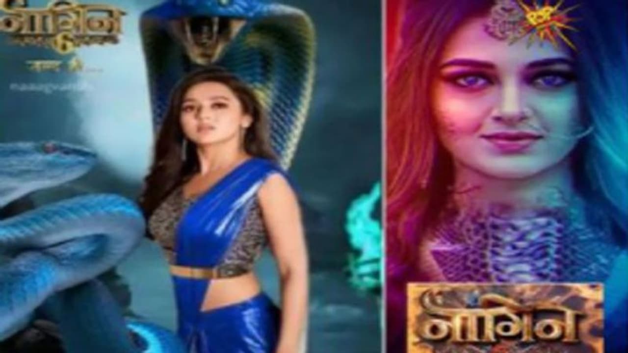 Bigg Boss 15 Grand Finale में Naagin 6 से उठ गया पर्दा, तेजस्वी प्रकाश होंगी अगली नागिन