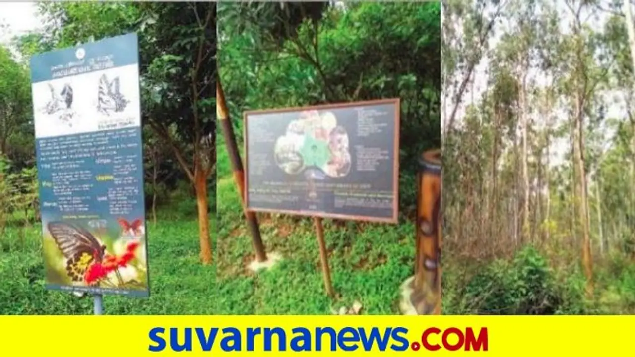 ಪಾರ್ಕ್‌ಗಾಗಿ ಜಾರಕಬಂಡೆ ಮೀಸಲು ಅರಣ್ಯ ಬಲಿ? : ಪರಿಸರ ಪ್ರೇಮಿಗಳ ವಿರೋಧ!