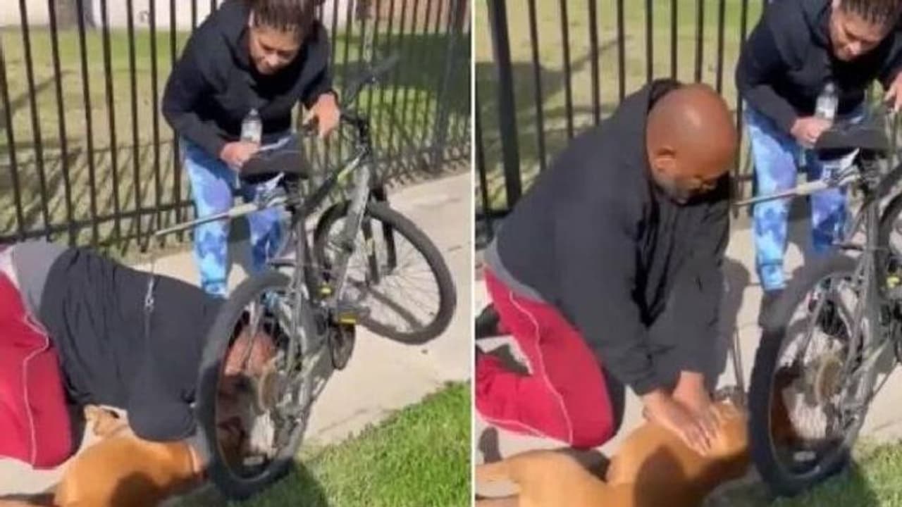 Man performs CPR on dog : കുഴഞ്ഞുവീണ നായയ്ക്ക് സിപിആര്‍, ജീവിതത്തിലേക്ക് തിരികെകൊണ്ടുവന്ന ഹീറോയ്ക്ക് അഭിനന്ദനം