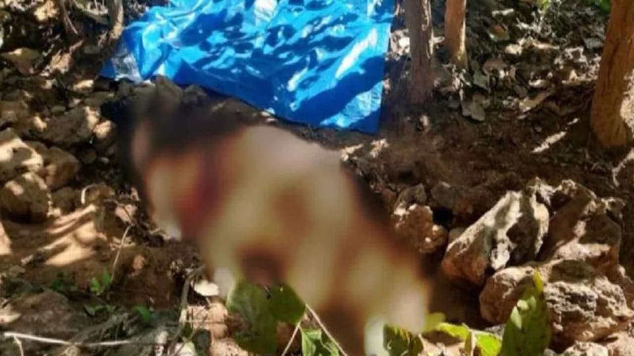 झारखंड में डायन बताकर पति पत्नी की हत्या, सबूत छिपाने आधा शव जलाया, आधे को जमीन में गाड़ा, 10 दिन बाद खुला राज झारखंड में डायन बताकर पति पत्नी की हत्या, सबूत छिपाने आधा शव जलाया, आधे को जमीन में गाड़ा, 10 दिन बाद खुला राज