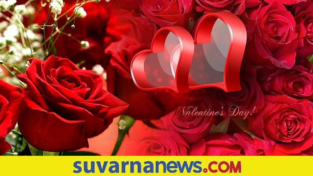 Rose Day: ಕೊಡುಕೊಳ್ಳುವ ಮುನ್ನ ಯಾವ ಬಣ್ಣದ ಗುಲಾಬಿಗೆ ಏನರ್ಥ ತಿಳಿಯಿರಿ