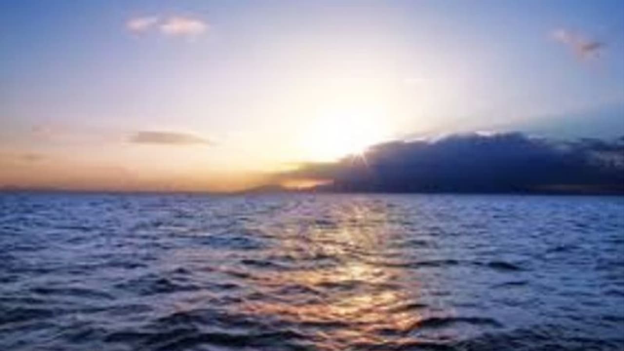 Millions Of Loss Refunded To Investors On Open Sea Millions Of Loss Refunded To Investors On Open Sea