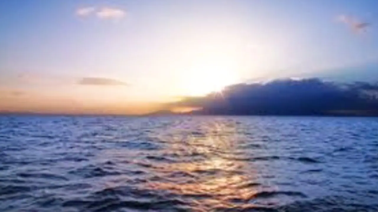 Millions Of Loss Refunded To Investors On Open Sea Millions Of Loss Refunded To Investors On Open Sea