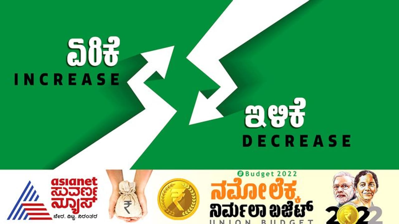 Union Budget 2022: ನಿರ್ಮಲಾ ಬಜೆಟ್‌ನಲ್ಲಿ ಯಾವುದು ಅಗ್ಗ, ಯಾವುದು ದುಬಾರಿ?