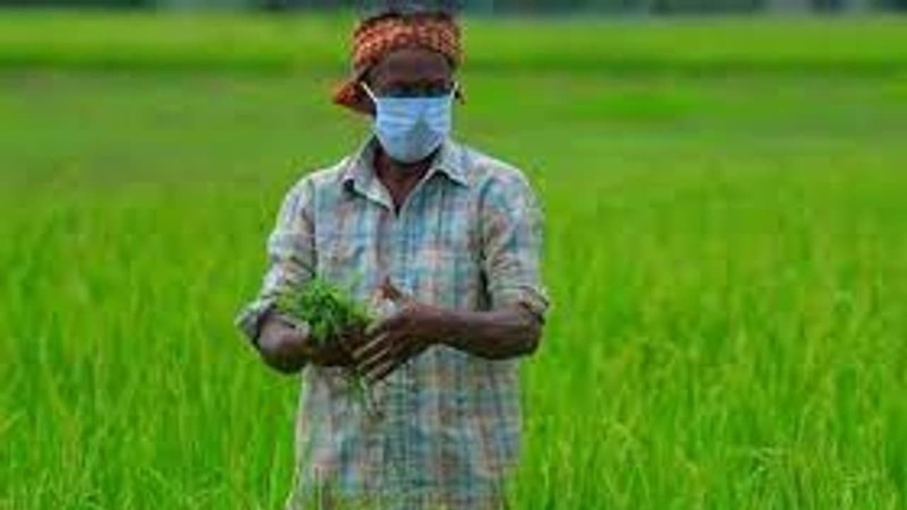 Budget 2022: किसानों को MSP का तोहफा, ड्रोन के इस्तेमाल को बढ़ावा, ये हैं कृषि सेक्टर के बड़े एलान Budget 2022: किसानों को MSP का तोहफा, ड्रोन के इस्तेमाल को बढ़ावा, ये हैं कृषि सेक्टर के बड़े एलान