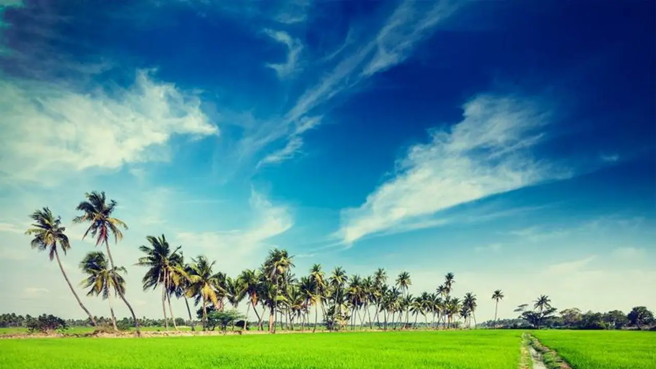 సేంద్రియ సాగుతో సిరుల పంట.. లాభాలు తెచ్చే మార్గమిది