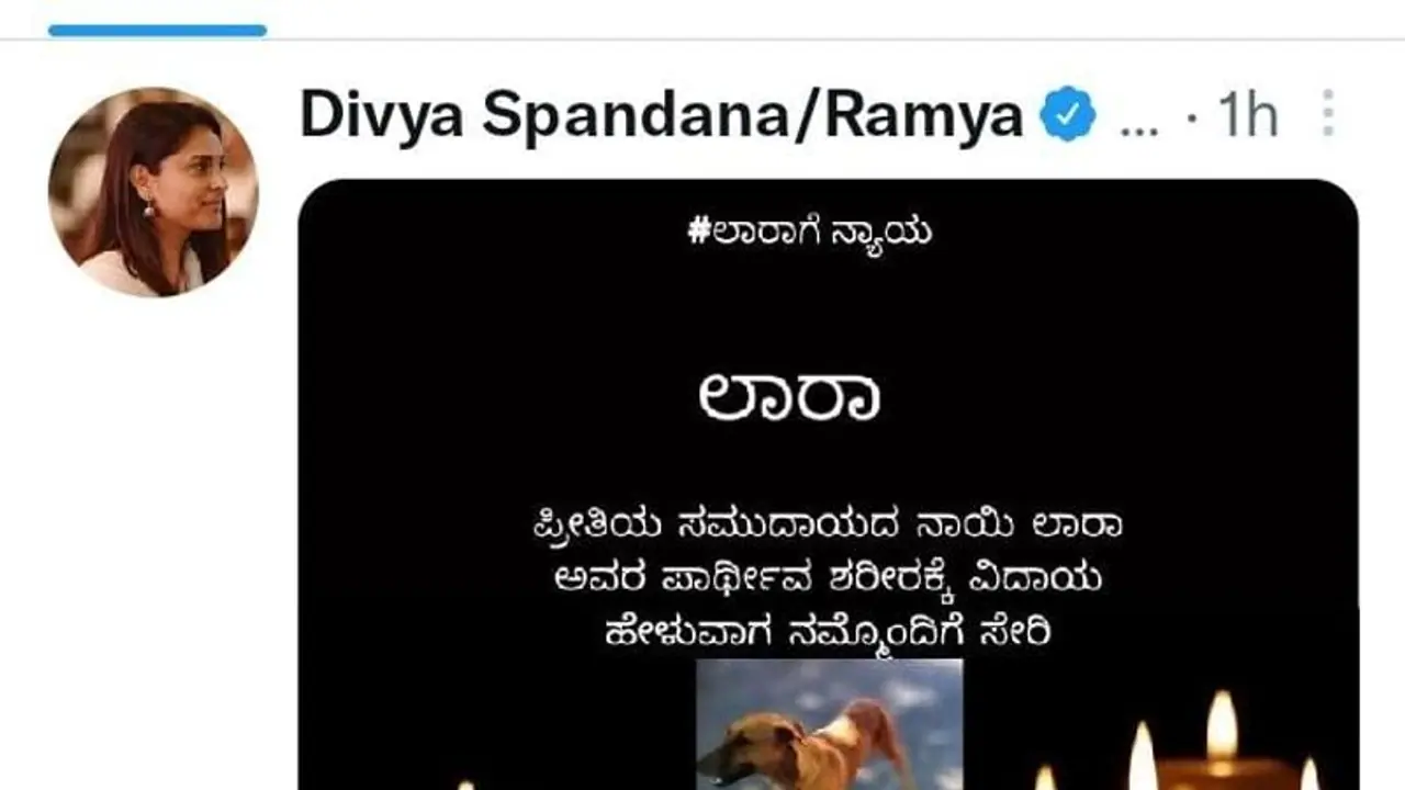 Dog Accident ಆಡಿ ಕಾರಿಗೆ ಬಲಿಯಾದ ಲಾರಾ ಶ್ವಾನಗೆ ಕಣ್ಣೀರಿನ ವಿದಾಯ, ಕಾನೂನು ಕಠಿಣವಾಗ್ಬೇಕು ಎಂದ ರಮ್ಯಾ