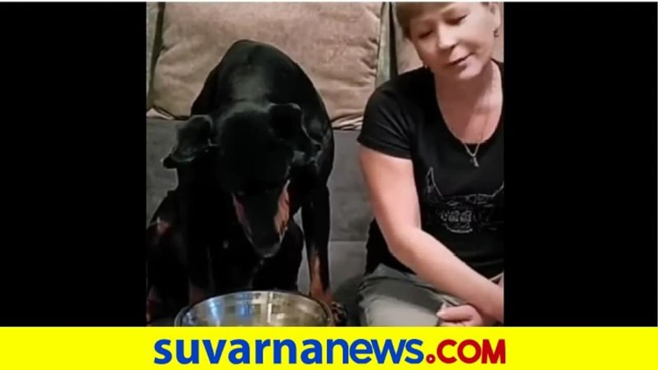 ನಂಗೂ ಬೇಕು... ಮಹಿಳೆ ತಿನ್ನೋದು ನೋಡಿ ತನ್ನ ತಟ್ಟೆ ತಂದು ಮುಂದಿಟ್ಟ ಶ್ವಾನ