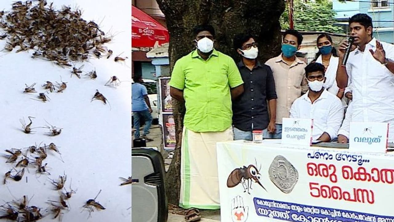 കൊതുകിനെ കൊന്ന് കൊണ്ട് വന്നാല് പ്രതിഫലം; യൂത്ത് കോണ്ഗ്രസ് സമരം കൊതുകിനെ കൊന്ന് കൊണ്ട് വന്നാല് പ്രതിഫലം; യൂത്ത് കോണ്ഗ്രസ് സമരം