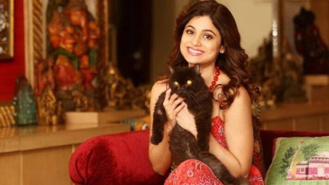 গালে আলতো চুম্বনের সঙ্গে শমিতাকে কোলে নিয়ে বার্থ ডে পার্টি এনজয় রাকেশের গালে আলতো চুম্বনের সঙ্গে শমিতাকে কোলে নিয়ে বার্থ ডে পার্টি এনজয় রাকেশের