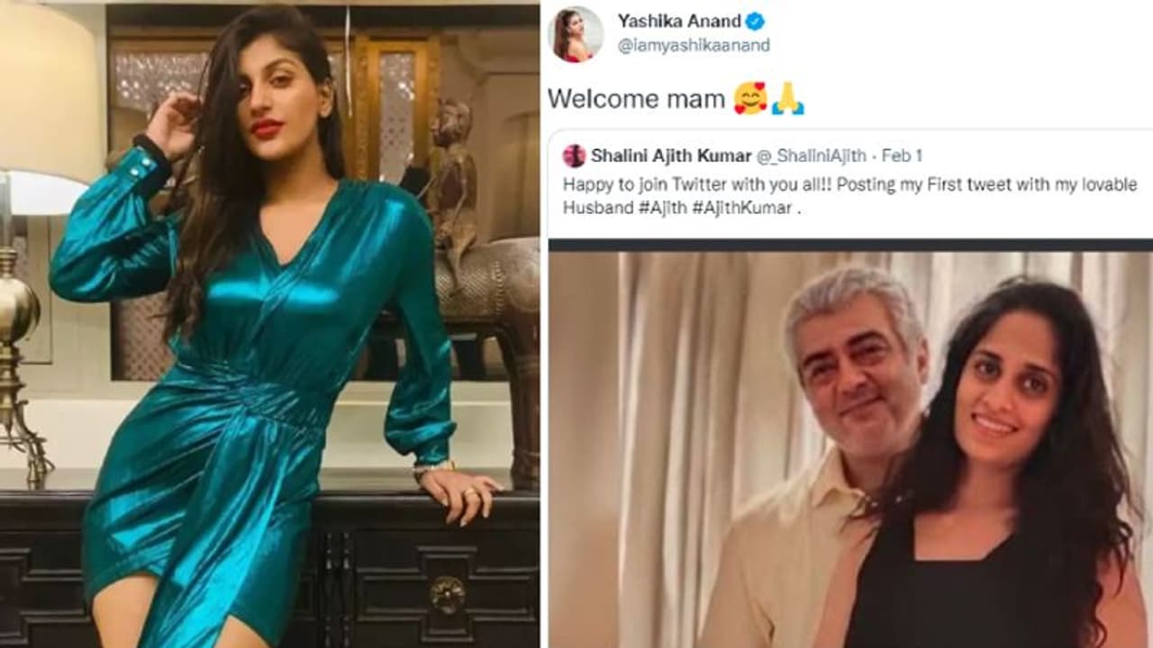 ஷாலினி பெயரில் போலி டுவிட்டர் கணக்கு! ‘வெல்கம் மேம்’னு ரீ டுவிட் செய்த யாஷிகா வச்சு செய்யும் நெட்டிசன்கள்