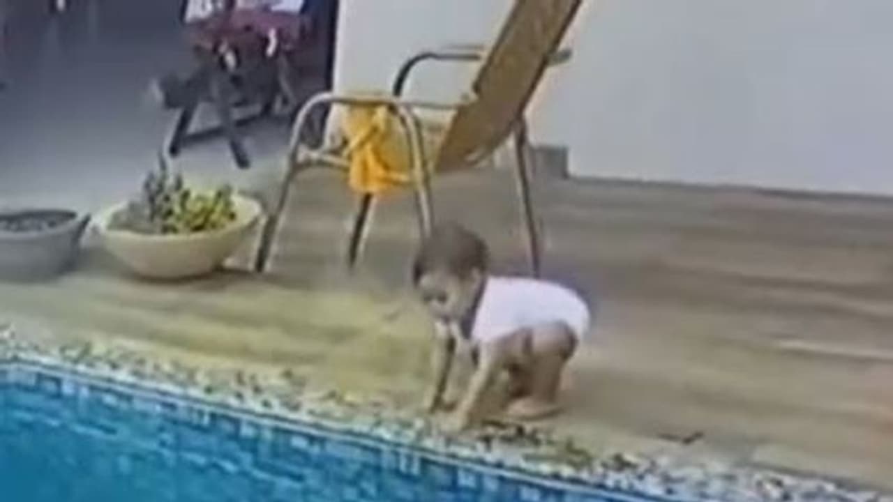 खेलते खेलते अचानक स्विंमिंग पूल में गिर गई बच्ची, फिर जो हुआ उसे देखकर खड़े हो जाएंगे रोंगटे खेलते खेलते अचानक स्विंमिंग पूल में गिर गई बच्ची, फिर जो हुआ उसे देखकर खड़े हो जाएंगे रोंगटे