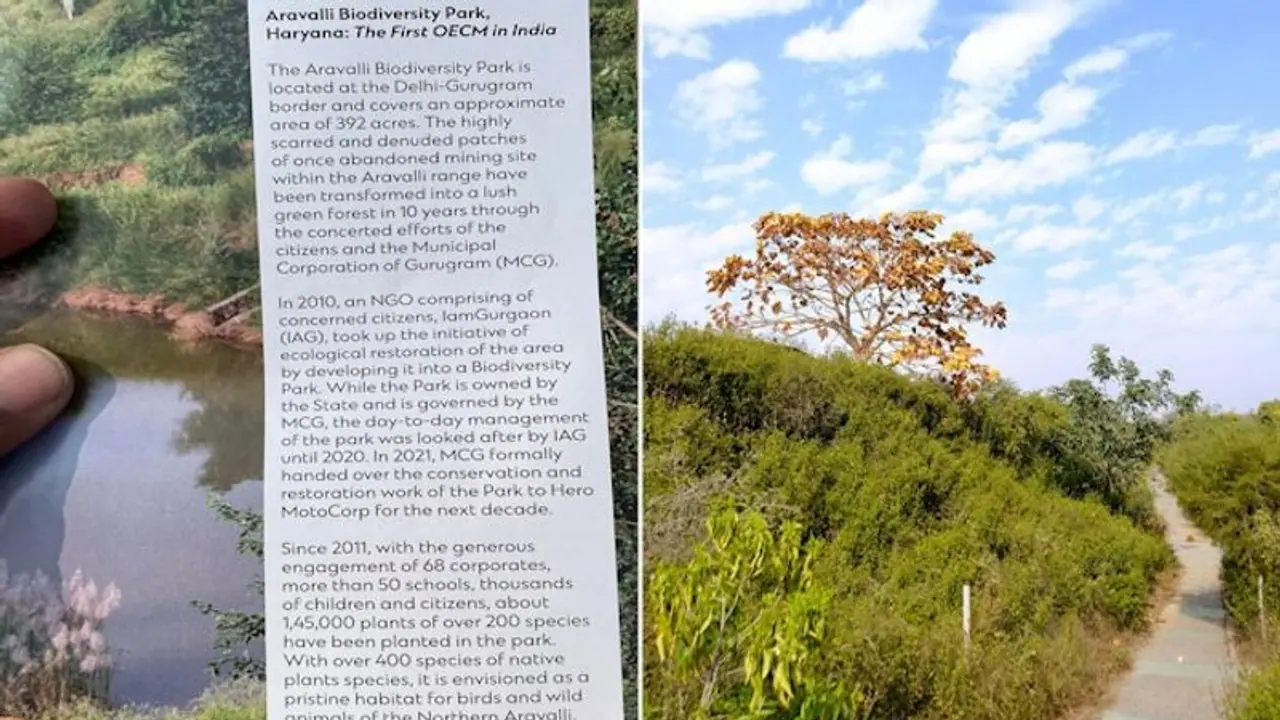 Aravalli Biodiversity Park becomes India's first OECM site, park's curator speaks about the journey Aravalli Biodiversity Park becomes India's first OECM site, park's curator speaks about the journey