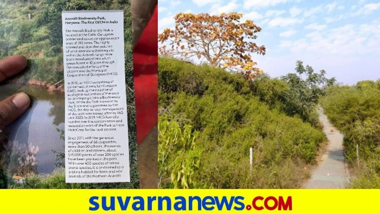 Aravali Park: ಗಣಿಗಾರಿಕೆಯ ಕೂಪ ಹಸಿರಿನ ಉದ್ಯಾನವನವಾಗಿ ಮಾರ್ಪಾಡಾದ ಕತೆ Aravali Park: ಗಣಿಗಾರಿಕೆಯ ಕೂಪ ಹಸಿರಿನ ಉದ್ಯಾನವನವಾಗಿ ಮಾರ್ಪಾಡಾದ ಕತೆ