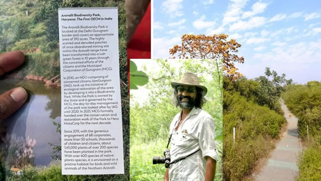 GOOD NEWS:अरावली जैव विविधता पार्क को मिली OECMs में जगह, 10 साल पहले यहां थीं खदानें; आज होती हैं रिसर्च GOOD NEWS:अरावली जैव विविधता पार्क को मिली OECMs में जगह, 10 साल पहले यहां थीं खदानें; आज होती हैं रिसर्च