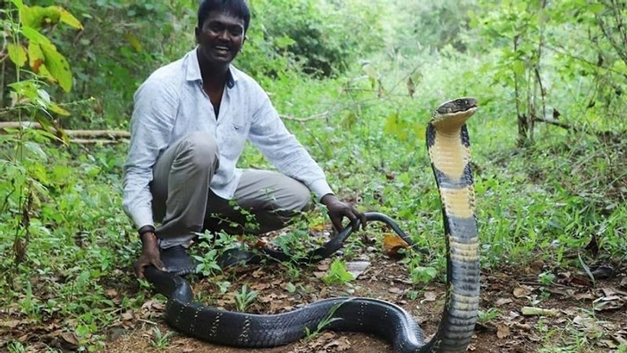 Vava Suresh : எமனையே எட்டி பார்த்து வந்த வாவா சுரேஷ்... மக்களின் பிரார்த்தனை வீண்போகவில்லை..! Vava Suresh : எமனையே எட்டி பார்த்து வந்த வாவா சுரேஷ்... மக்களின் பிரார்த்தனை வீண்போகவில்லை..!