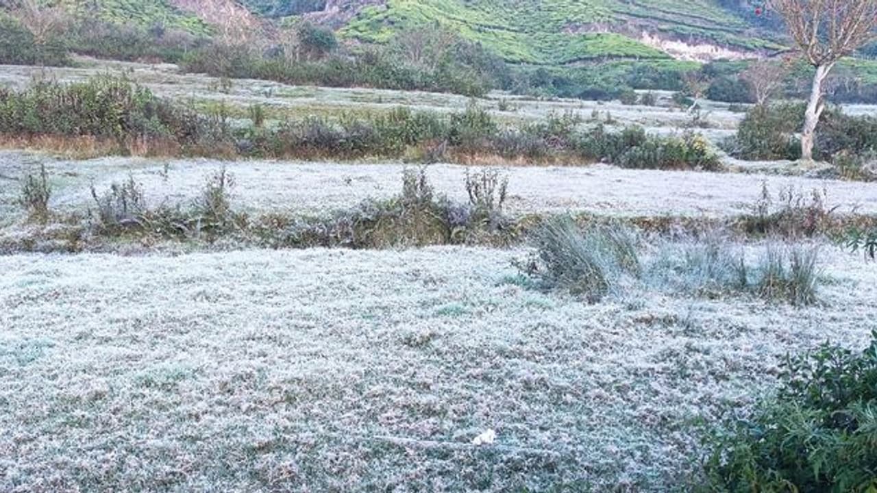 Winter in Munnar: മൂന്നാറില് മൈനസ് ഡിഗ്രിയിലെത്തി ശൈത്യകാലം Winter in Munnar: മൂന്നാറില് മൈനസ് ഡിഗ്രിയിലെത്തി ശൈത്യകാലം