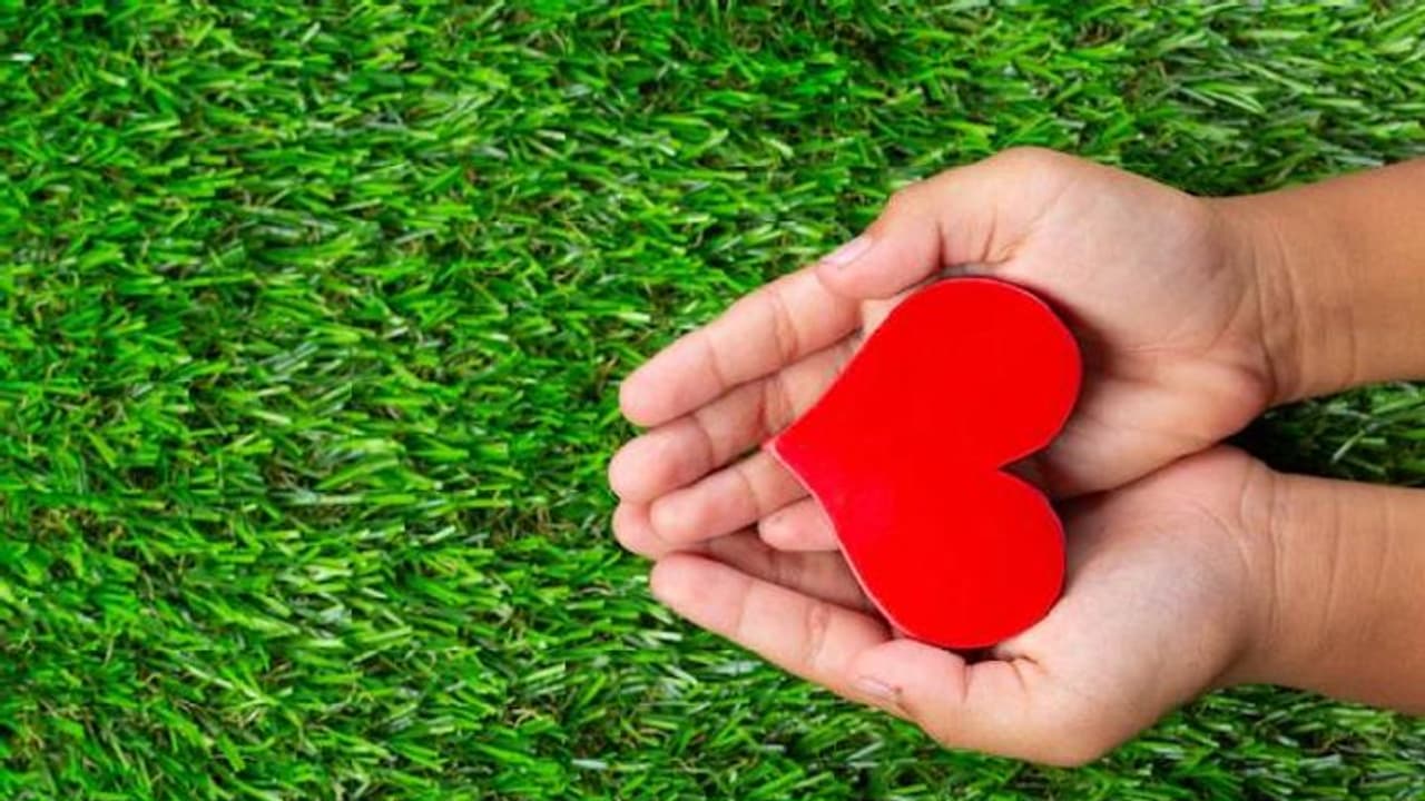 എത്രതരം സ്നേഹമുണ്ട്? ഏതു സ്നേഹമാണ് ഏറ്റവും മികച്ചത്, ഇതാ ​ഗ്രീക്കുകാരുടെ ആറുതരം സ്നേഹങ്ങൾ