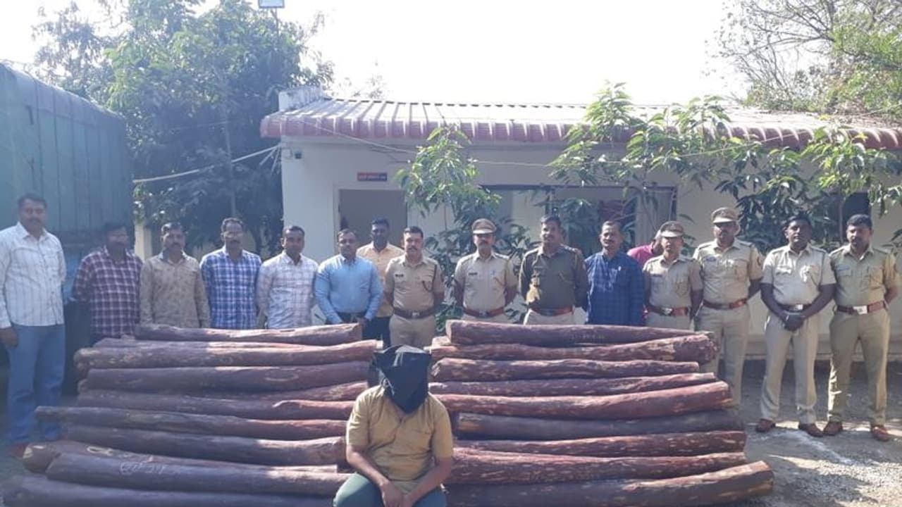 புஷ்பா பட பாணியில் செம்மரக்கட்டை கடத்தல்… சிக்கிய ரூ.2.50 கோடி மதிப்பிலான கட்டைகள்!!