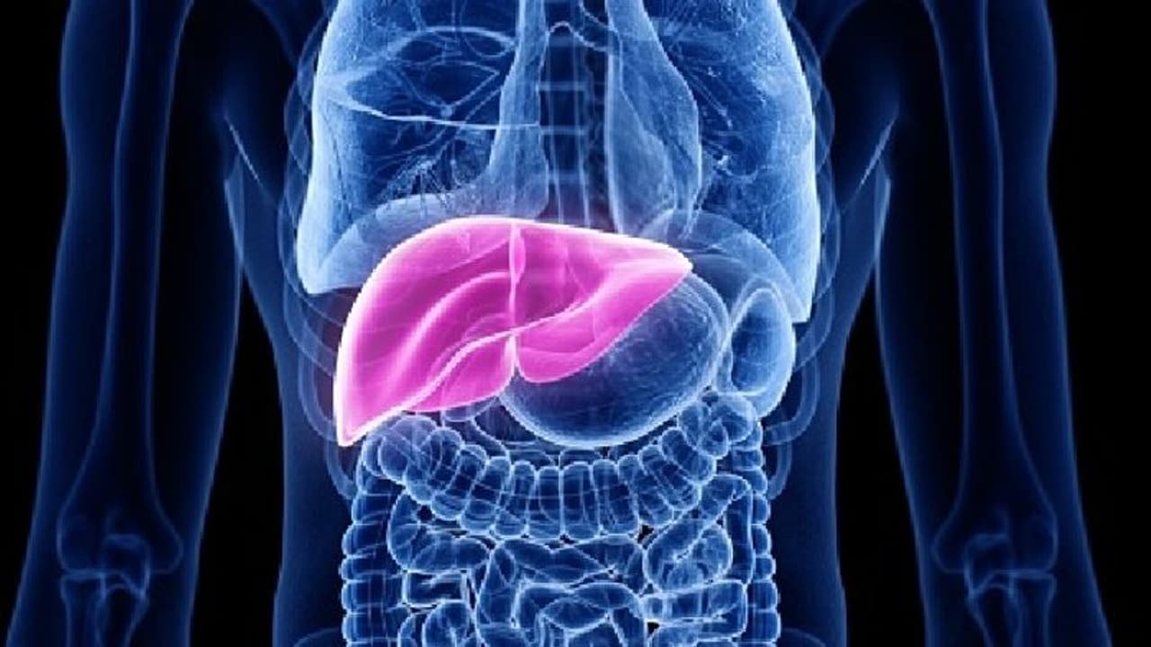 Liver Cancer : ഇക്കാര്യം ശ്രദ്ധിച്ചില്ലെങ്കിൽ കരൾ ക്യാൻസറിനുള്ള സാധ്യത കൂടുതൽ; പഠനം 