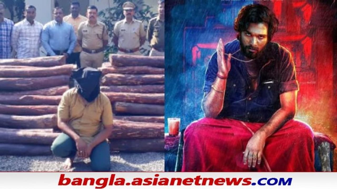 'পুষ্পা'র কায়দায় চন্দন কাঠ পাচারের চেষ্টা, সিনেমার কৌশল খাটল না বাস্তবের পুলিশের সামনে 'পুষ্পা'র কায়দায় চন্দন কাঠ পাচারের চেষ্টা, সিনেমার কৌশল খাটল না বাস্তবের পুলিশের সামনে