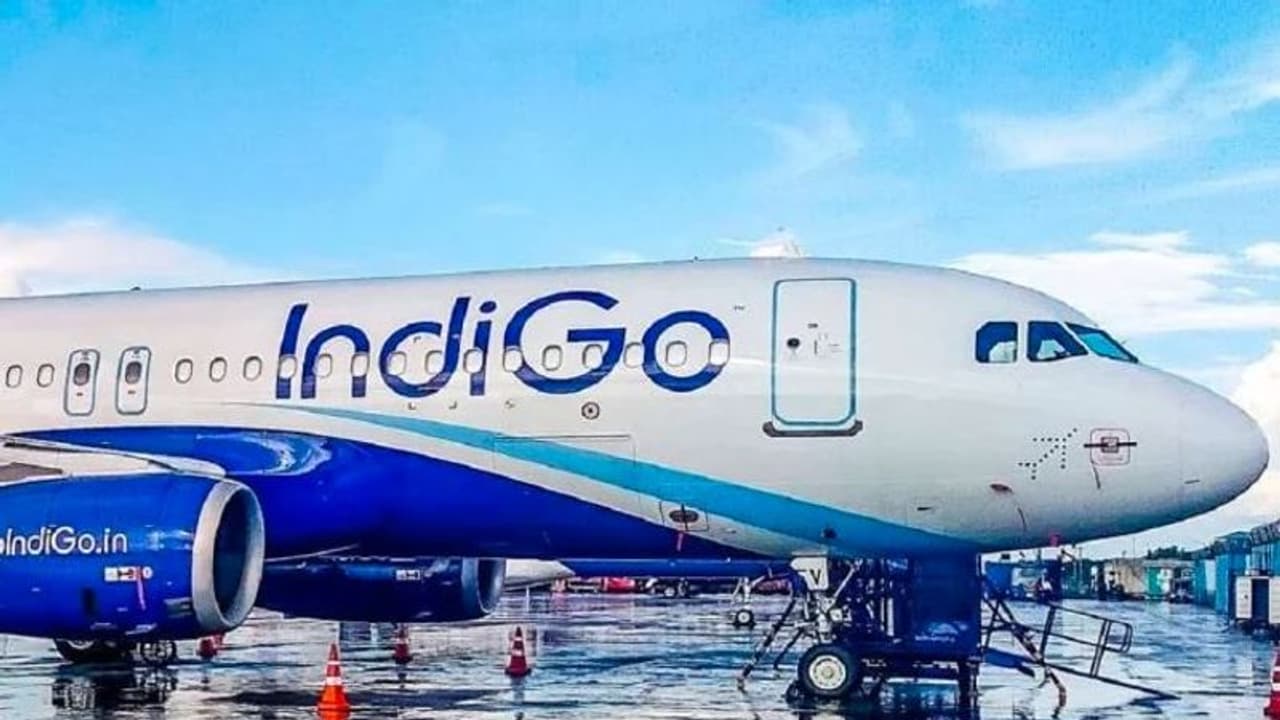 IndiGo एयरलाइन्स में गुम हो गया इंजीनियर का luggage, स्टॉफ ने नहीं की मदद तो कंपनी की वेबसाइट हैक कर लिया