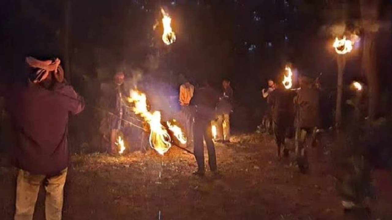 হাড় কাঁপানো ঠান্ডায় হাড় হিম করা অজানা আতঙ্ক, ক্ষতির মুখে গরীব চাষীরা, সরকারি সাহায্যের আর্জি হাড় কাঁপানো ঠান্ডায় হাড় হিম করা অজানা আতঙ্ক, ক্ষতির মুখে গরীব চাষীরা, সরকারি সাহায্যের আর্জি