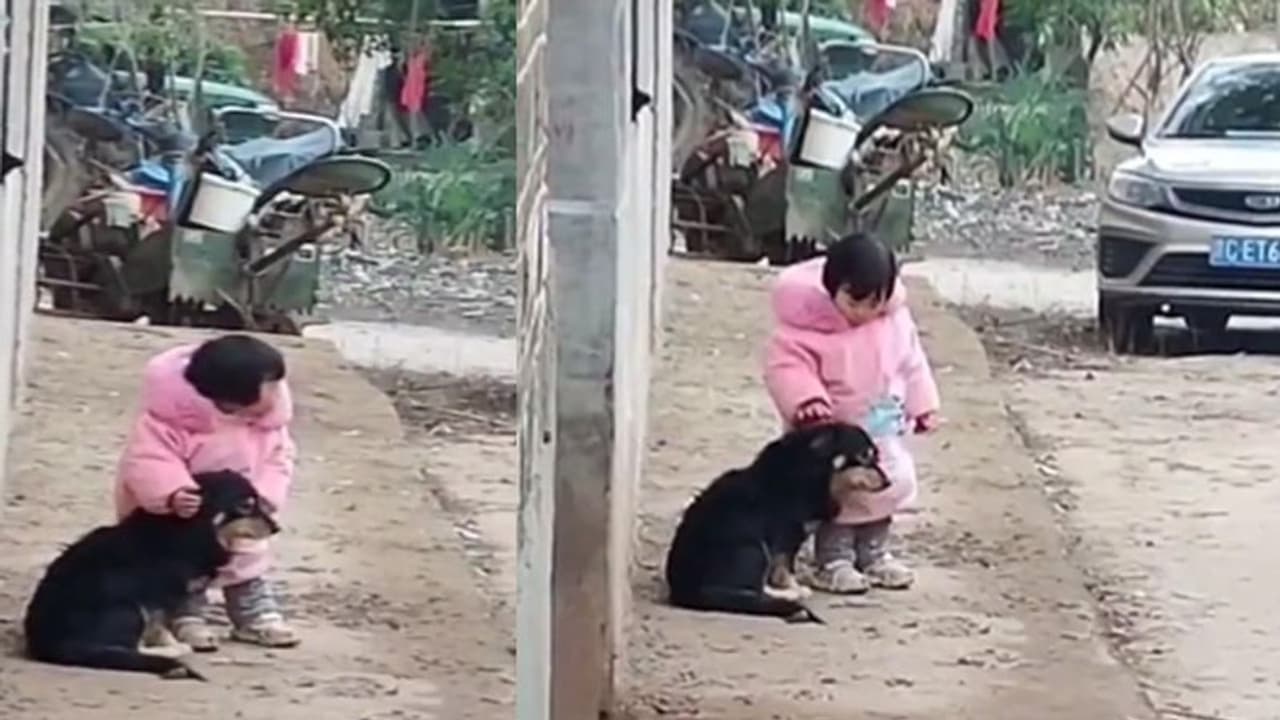 इस बच्चे की मासूमियत देख आप भी हो जाएंगे इमोशनल, पटाखों की आवाज से कुत्ते को इस तरह बचाया