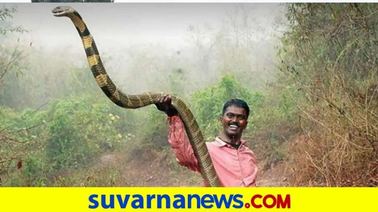 ಕೇರಳದ ಸ್ನೇಕ್‌ ಮ್ಯಾನ್‌ ವಾವಾ ಸುರೇಶ್‌ ಚೇತರಿಕೆ... ಮರಳಿದ ಪ್ರಜ್ಞೆ ವಾರ್ಡ್‌ಗೆ ಶಿಫ್ಟ್