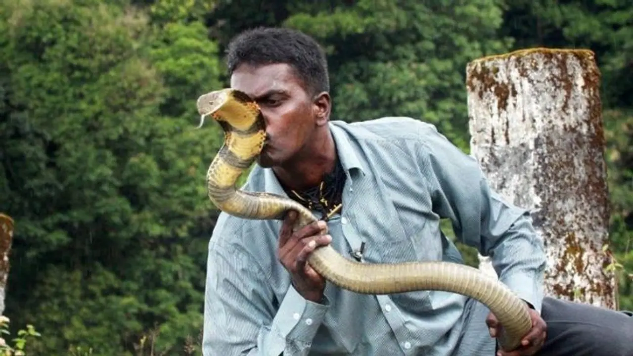 Viral Video: Snake Man वावा सुरेश की हालत में सुधार, ICU से वार्ड में हुए शिफ्ट, इन्हें 300 बार काट चुके सांप