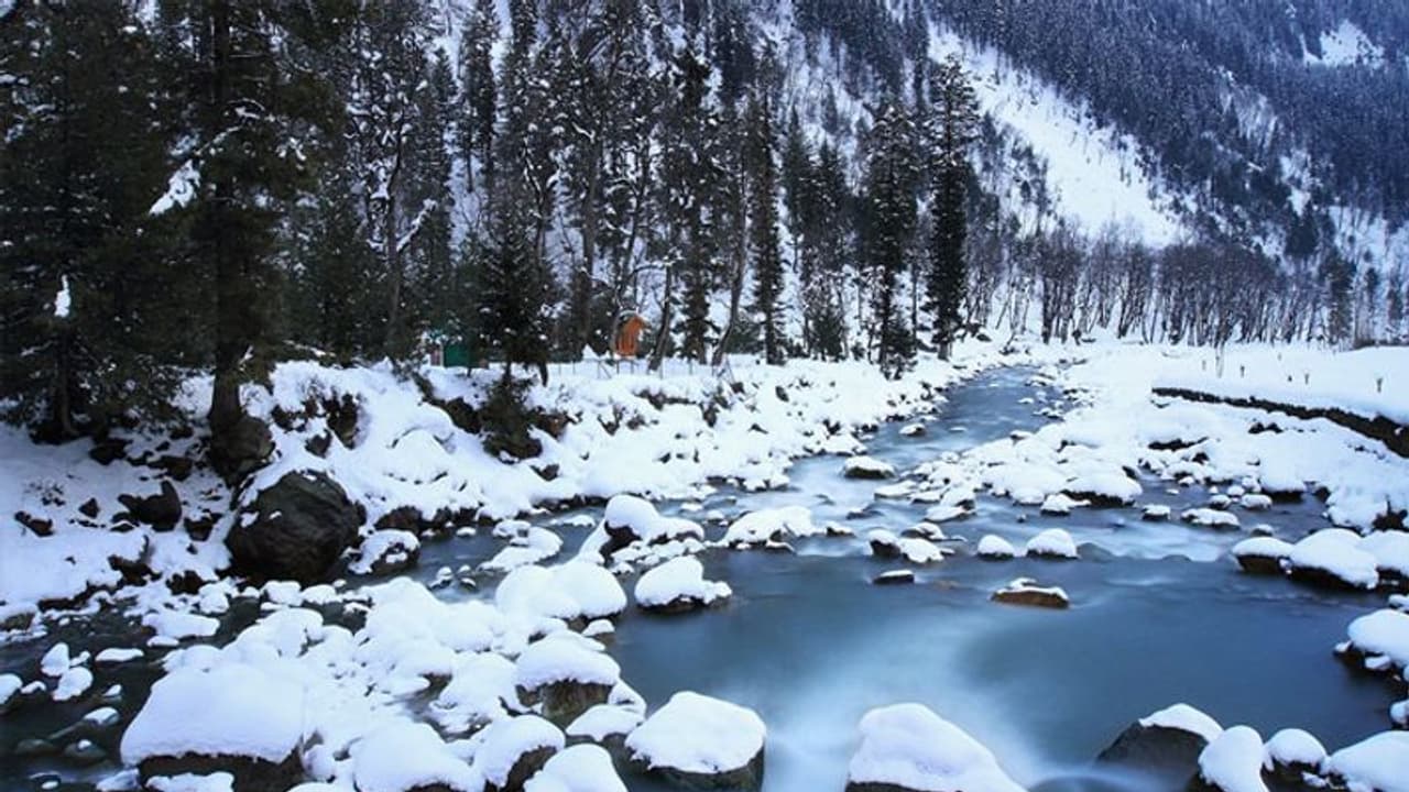 কাশ্মীরকে প্যালেস্টাইনের সঙ্গে তুলনা রাশিয়ান তথ্যচিত্রে, প্রতিবেদন খারিজ করল রাশিয়ান দূতাবাস কাশ্মীরকে প্যালেস্টাইনের সঙ্গে তুলনা রাশিয়ান তথ্যচিত্রে, প্রতিবেদন খারিজ করল রাশিয়ান দূতাবাস