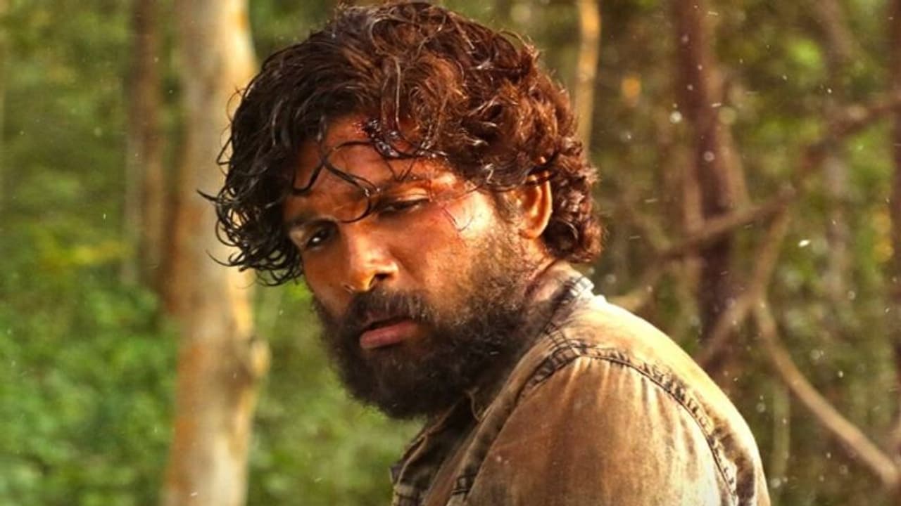 ബോളിവുഡിനെ അമ്പരപ്പിച്ച് 'പുഷ്പ' ഹിന്ദി പതിപ്പ്; ഒടിടി റിലീസിനു ശേഷം തിയറ്ററില് നിന്നു നേടിയത് ബോളിവുഡിനെ അമ്പരപ്പിച്ച് 'പുഷ്പ' ഹിന്ദി പതിപ്പ്; ഒടിടി റിലീസിനു ശേഷം തിയറ്ററില് നിന്നു നേടിയത്