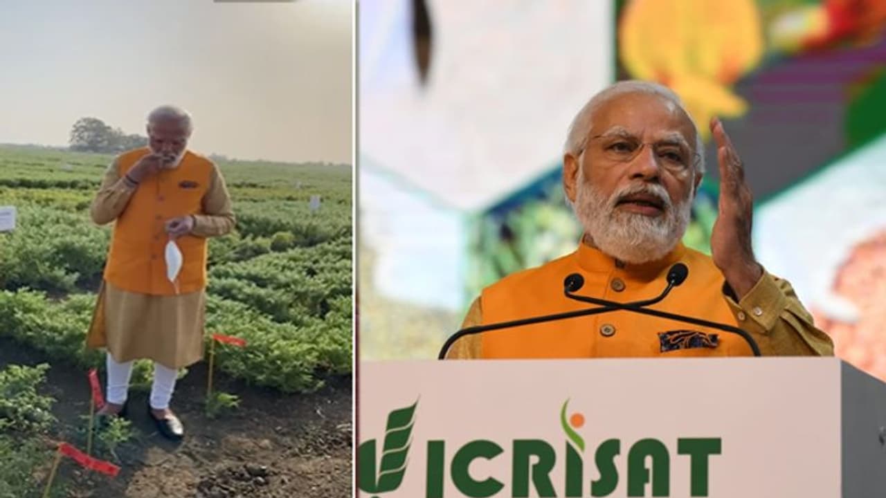 हैदराबाद में PM Modi ने अचानक रोकवा दी कार, बाहर निकल चना की खेत में पहुंच गए... हैदराबाद में PM Modi ने अचानक रोकवा दी कार, बाहर निकल चना की खेत में पहुंच गए...