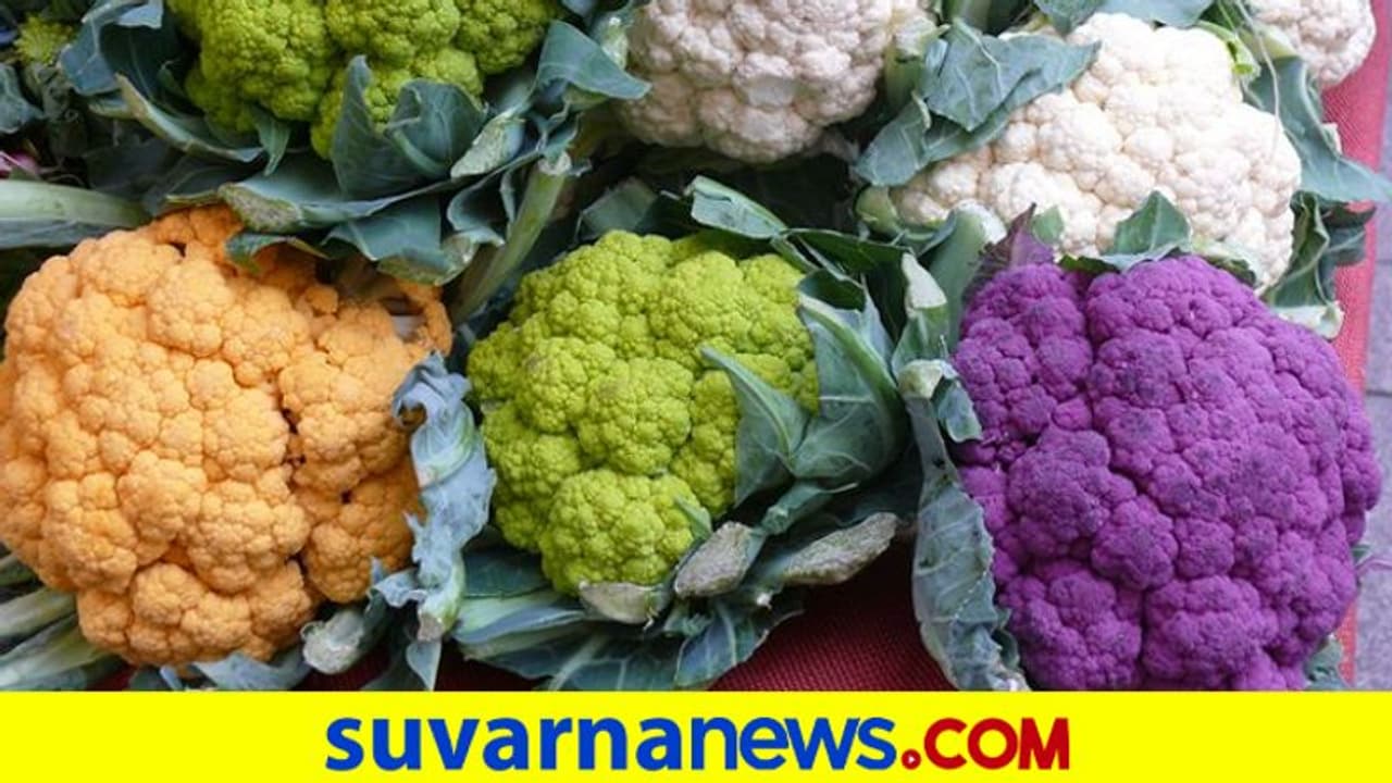 Varieties Of Cauliflower: ಕಲರ್ ಕಲರ್ ಹೂಕೋಸು ನೋಡಿದ್ದೀರಾ ? Varieties Of Cauliflower: ಕಲರ್ ಕಲರ್ ಹೂಕೋಸು ನೋಡಿದ್ದೀರಾ ?