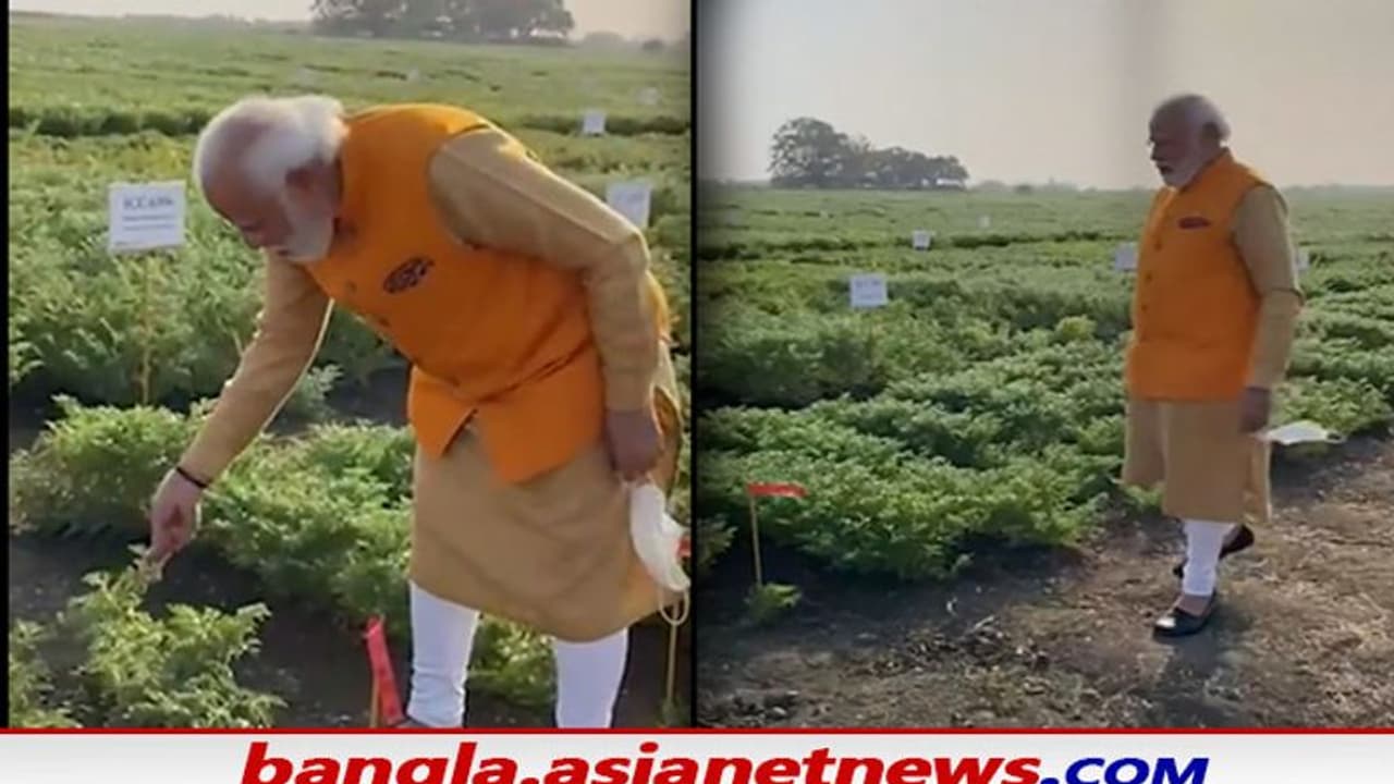 তোয়াক্কা নেই প্রোটোকলের, হায়দরাবাদ সফরকালে আচমকা গাড়ি থামিয়ে মাঠে নামলেন Modi মোদী, কী ঘটল সেখানে তোয়াক্কা নেই প্রোটোকলের, হায়দরাবাদ সফরকালে আচমকা গাড়ি থামিয়ে মাঠে নামলেন Modi মোদী, কী ঘটল সেখানে