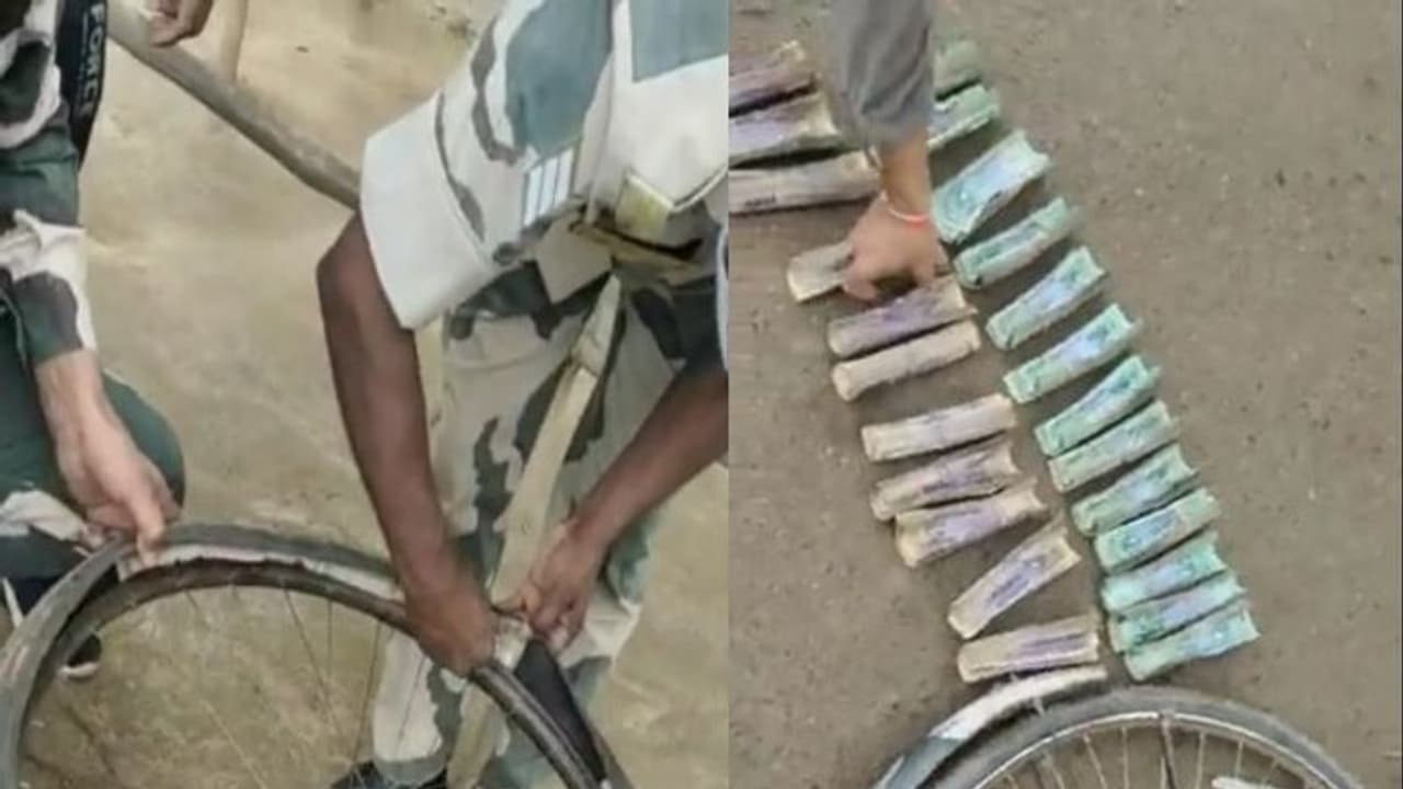 साइकिल की टायर उगलने लगी बांग्लादेशी नोटों की गड्डियां, तस्करी का तरीका देख BSF के जवान हुए हैरान साइकिल की टायर उगलने लगी बांग्लादेशी नोटों की गड्डियां, तस्करी का तरीका देख BSF के जवान हुए हैरान