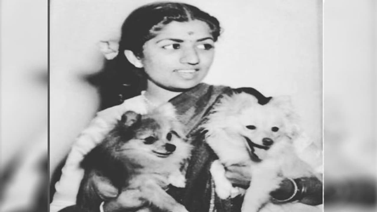 Lata Mangeshkar को जब मिला था नया जीवन, तीन महीने तक गा नहीं पाई थीं स्वर कोकिला, जानें पूरा मामला Lata Mangeshkar को जब मिला था नया जीवन, तीन महीने तक गा नहीं पाई थीं स्वर कोकिला, जानें पूरा मामला
