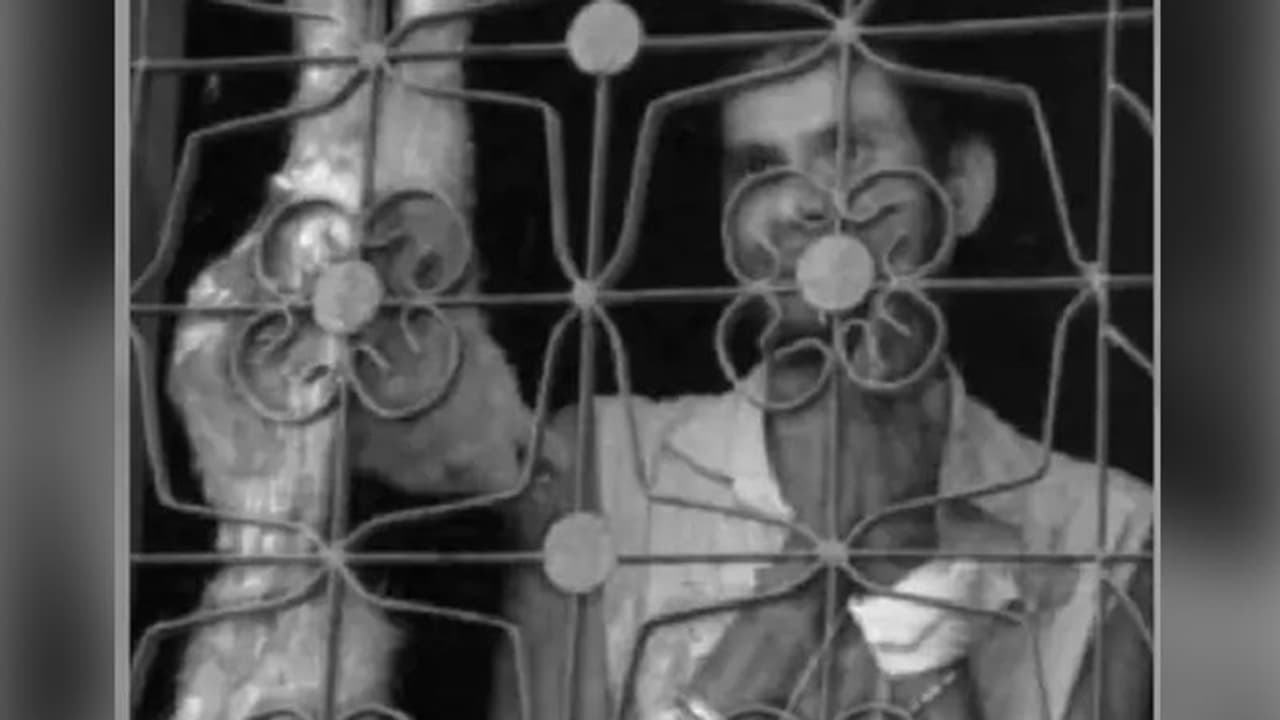 अमानवीय घटना: MP में एक शख्स कुत्ते को काटकर उसे चबाकर खा गया, फिर लोगों को दिखा दिखाकर पिया उसका सारा खून