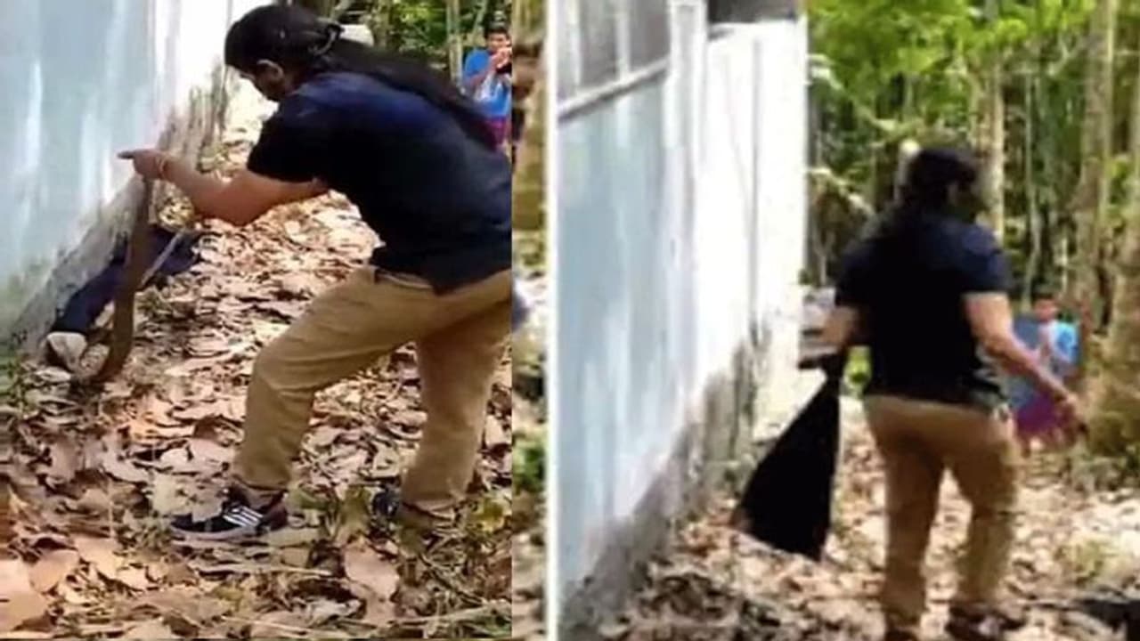 Viral Video:वन कर्मचारी ने जब पकड़ा जहरीला सांप; लेडी IFS सुधा रमन ने की बहादुरी की तारीफ Viral Video:वन कर्मचारी ने जब पकड़ा जहरीला सांप; लेडी IFS सुधा रमन ने की बहादुरी की तारीफ