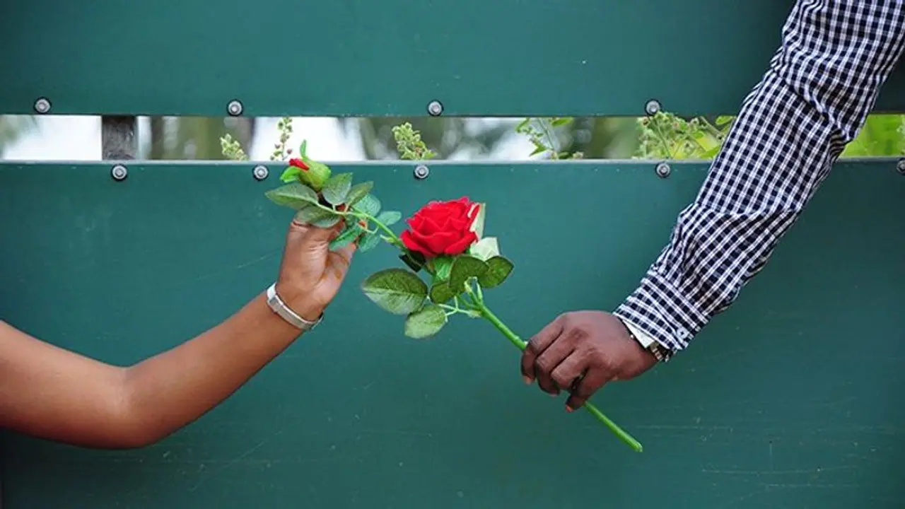  "వాలెంటైన్స్ వీక్"లో దుమ్ము రేపిన గులాబీలు: రికార్డు సేల్స్.. 