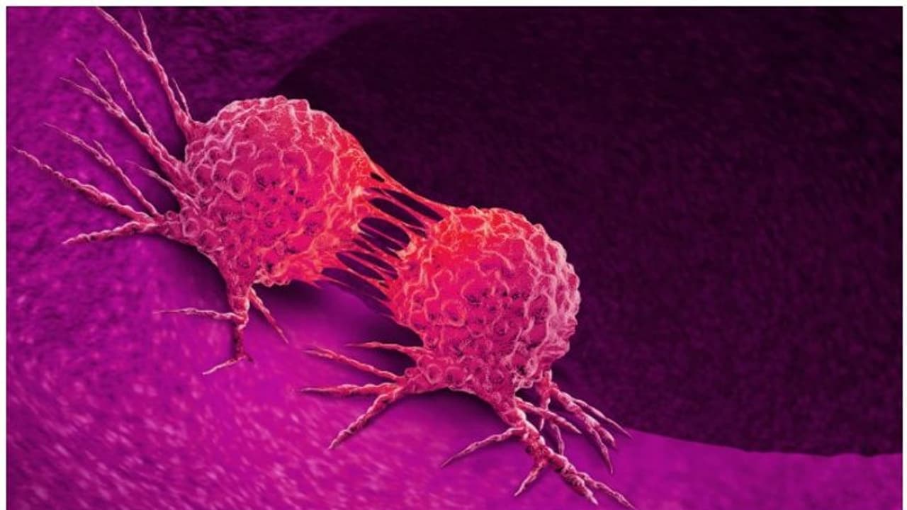 Cancer Fighting Foods : ക്യാൻസറിനെ പ്രതിരോധിക്കുന്ന 5 സൂപ്പർഫുഡുകൾ