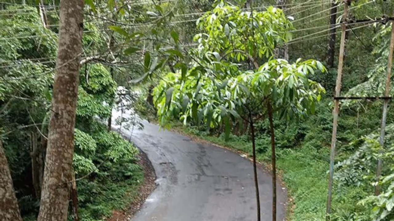 സുമതിയെ കൊന്നവളവിൽ വീണ്ടും അസ്ഥികൂടം, മരിച്ചിട്ട് 3 മാസമായെന്ന് സംശയം, തിരിച്ചറിയാൻ ഡിഎൻഎ പരിശോധന സുമതിയെ കൊന്നവളവിൽ വീണ്ടും അസ്ഥികൂടം, മരിച്ചിട്ട് 3 മാസമായെന്ന് സംശയം, തിരിച്ചറിയാൻ ഡിഎൻഎ പരിശോധന