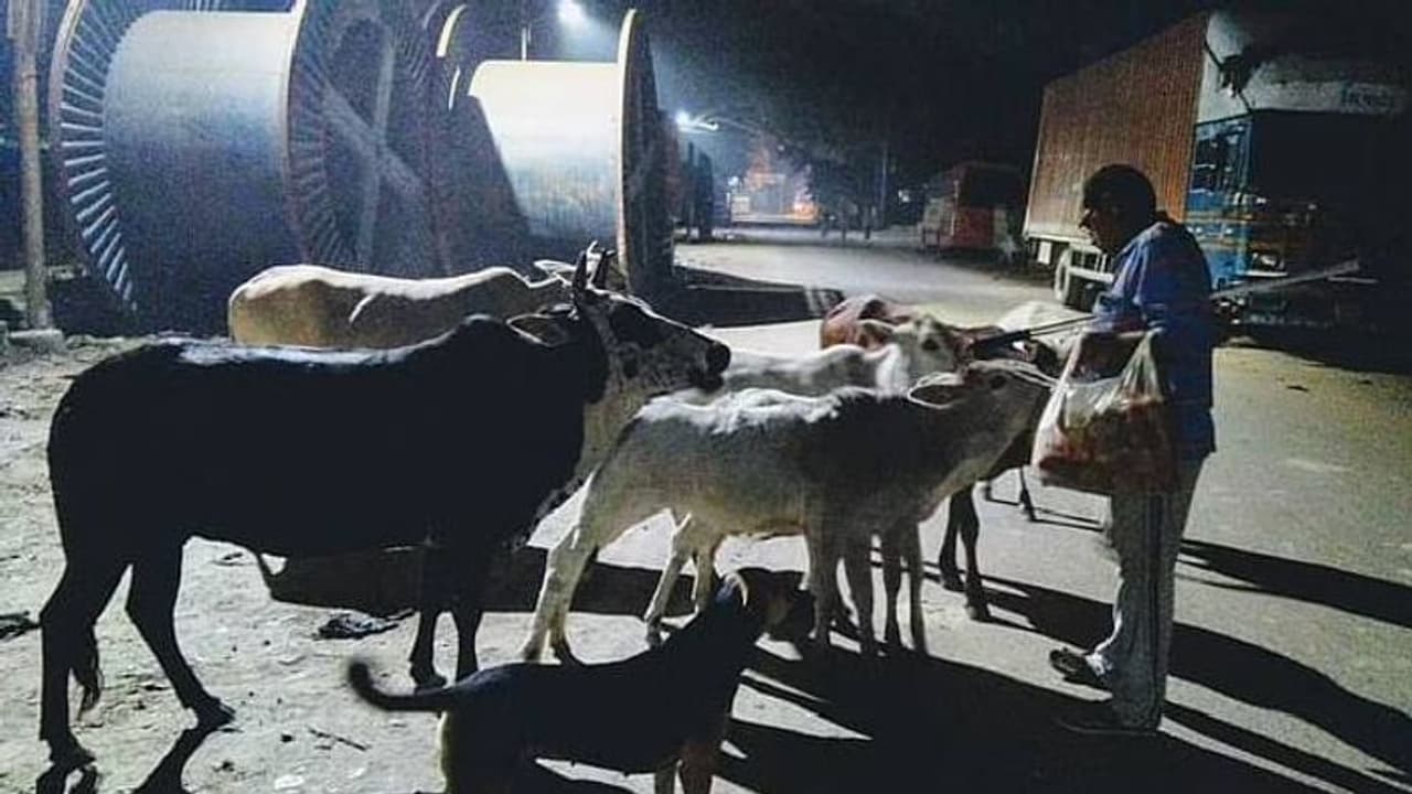 26 വർഷമായി മുടങ്ങാതെ തെരുവുമൃഗങ്ങൾക്ക് ഭക്ഷണം നൽകുന്നൊരാൾ 26 വർഷമായി മുടങ്ങാതെ തെരുവുമൃഗങ്ങൾക്ക് ഭക്ഷണം നൽകുന്നൊരാൾ