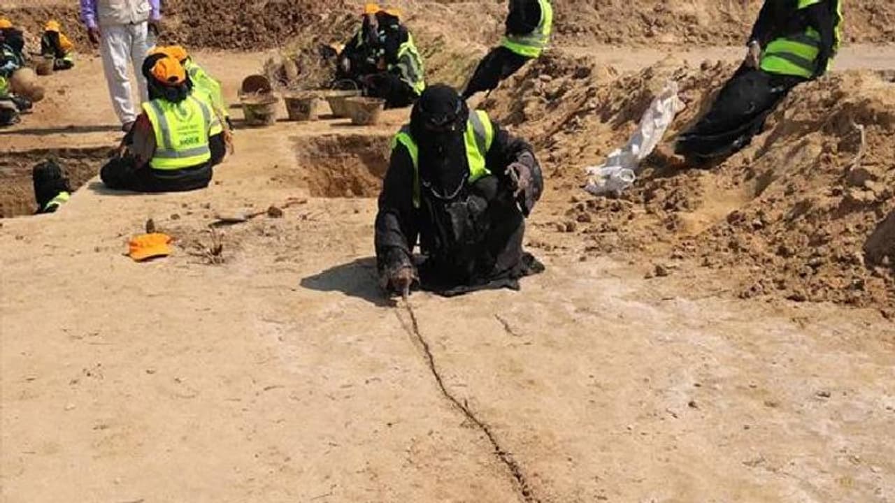 വേദനയും ദുരിതവും പേറുന്ന യമനിൽ പ്രതീക്ഷയായി ഉപ്പുവ്യവസായം, സജീവമായി സ്ത്രീകൾ, ഏകവരുമാന മാർഗം വേദനയും ദുരിതവും പേറുന്ന യമനിൽ പ്രതീക്ഷയായി ഉപ്പുവ്യവസായം, സജീവമായി സ്ത്രീകൾ, ഏകവരുമാന മാർഗം