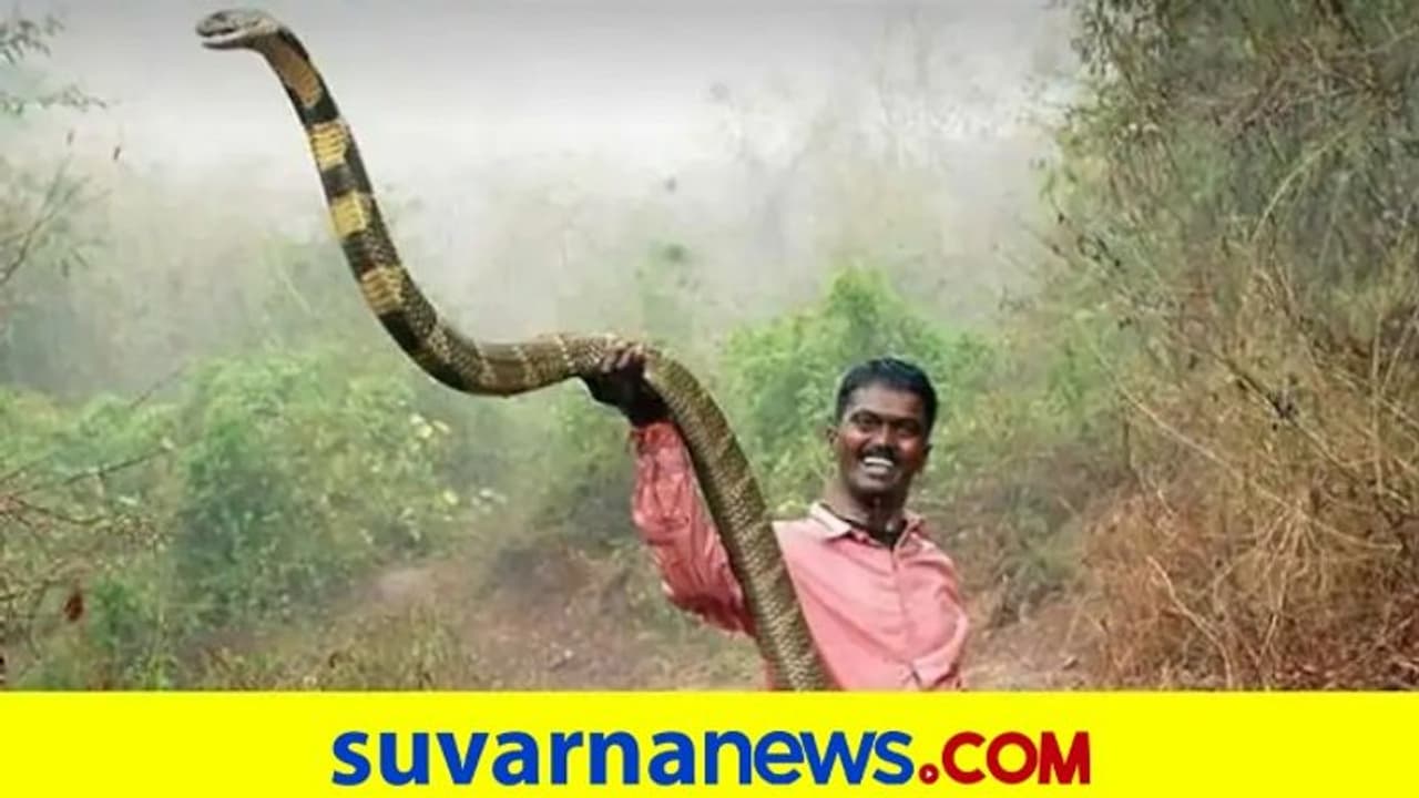 ನನ್ನ ಕೊನೆ ಉಸಿರಿರುವವರೆಗೆ ಹಾವು ಹಿಡಿಯುವೆ : ಸ್ನೇಕ್‌ ಮ್ಯಾನ್