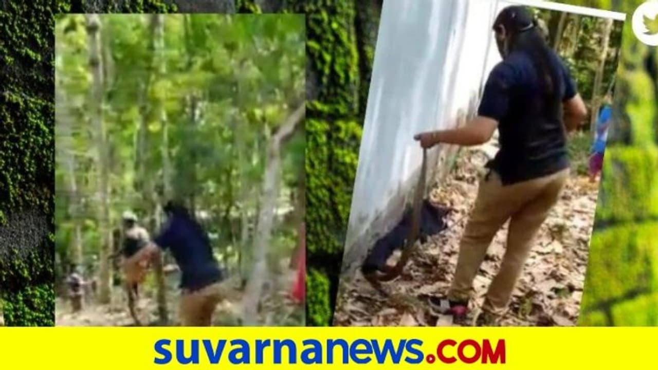 ಮನೆಯೊಂದಕ್ಕೆ ನುಗ್ಗಿದ ಹಾವನ್ನು ಸೆರೆ ಹಿಡಿದ ಮಹಿಳಾ ಅರಣ್ಯಾಧಿಕಾರಿ