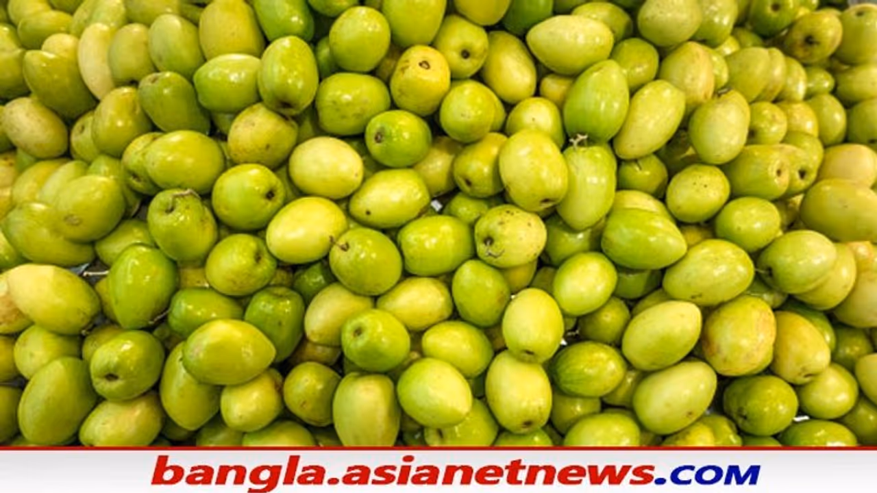 পেটের সমস্যা দূর করতে কিংবা ক্যালশিয়াম ঘাটতি পূরণে কুল খান, রইল এই ফলের গুণাগুণ পেটের সমস্যা দূর করতে কিংবা ক্যালশিয়াম ঘাটতি পূরণে কুল খান, রইল এই ফলের গুণাগুণ