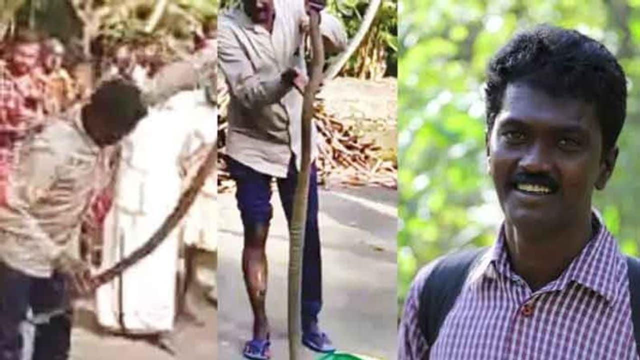 கொலைவெறியில் இருந்த நல்ல பாம்பு.. உயிர் காத்த 65 விஷ முறிவுகள்.. வாவா சுரேஷ் உயிர் பிழைத்தது எப்படி தெரியுமா?