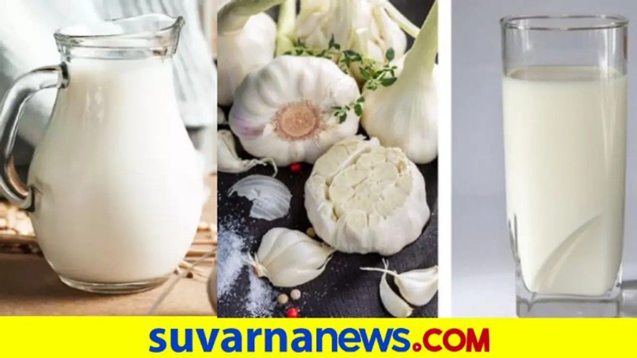 Garlic Milk Benefits: ಮಲಬದ್ಧತೆ ಸಮಸ್ಯೆನಾ ? ಬೆಳ್ಳುಳ್ಳಿ ಹಾಲು ಕುಡ್ದು ನೋಡಿ Garlic Milk Benefits: ಮಲಬದ್ಧತೆ ಸಮಸ್ಯೆನಾ ? ಬೆಳ್ಳುಳ್ಳಿ ಹಾಲು ಕುಡ್ದು ನೋಡಿ